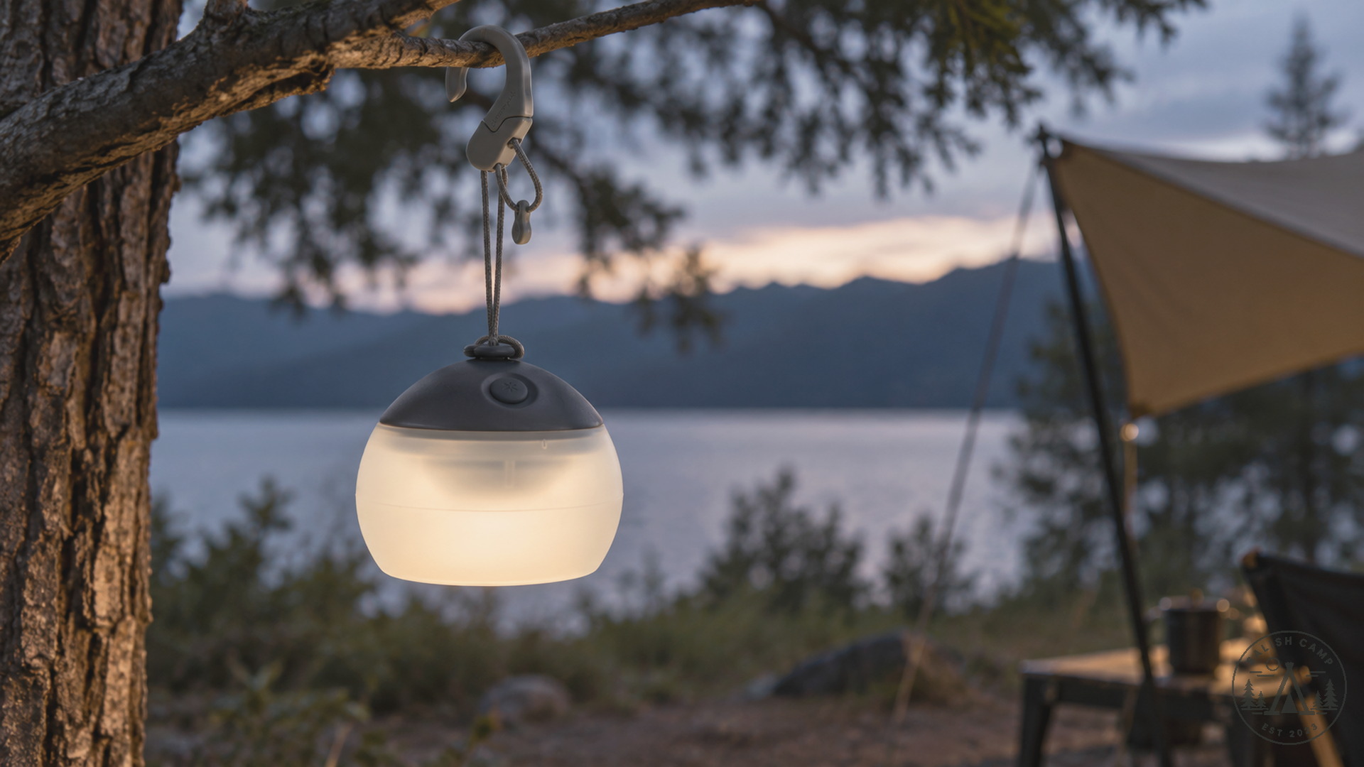 Night Sky Hozuki lantern glowing while hung from a tree branch at dusk